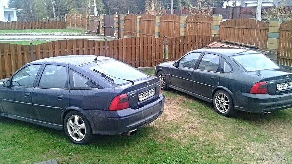 Покажи опель вектра б. Опель Вектра лифтбек 1997. Opel Vectra 1998 хэтчбек. Опель Вектра б хэтчбек 1996. Опель Вектра 1997 хэтчбек.