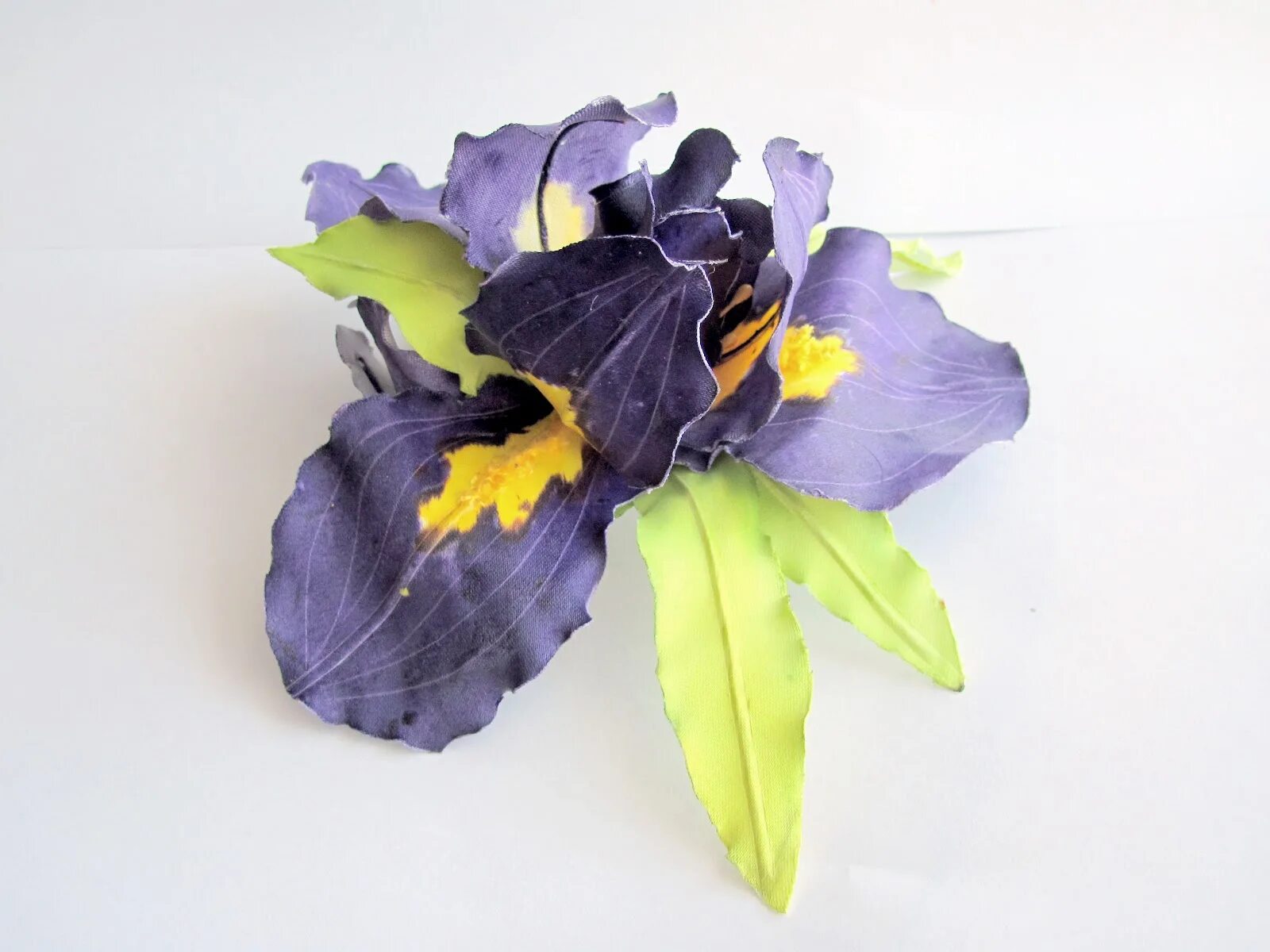 Ирис альказар. Ирис тинунин. Ирисы зимовка. Ирис mandrake. Ирис alpine twilight.