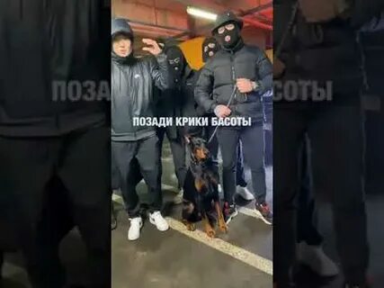 Позади крики