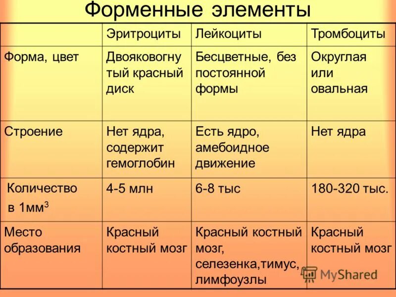 Таблица состав крови биология 8 класс. Форма эритроцитов лейкоцитов и тромбоцитов. Таблица клетки эритроциты лейкоциты тромбоциты. Строение эритроцитов лейкоцитов и тромбоцитов.