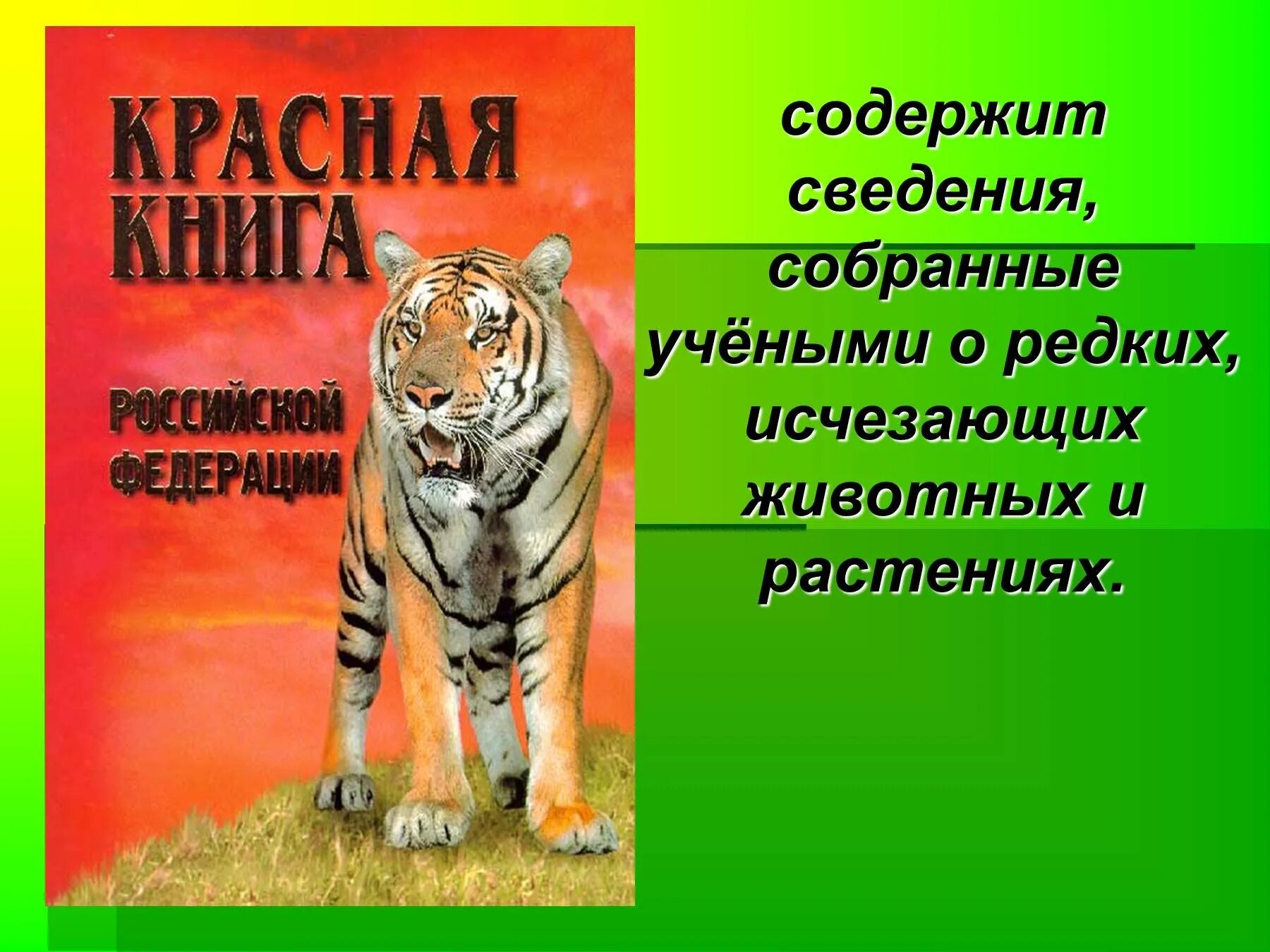 Проект животные из красной книги. Красная книга России. Животные. Красная книга презентация. Животные красной книги Росси. Организм красной книги