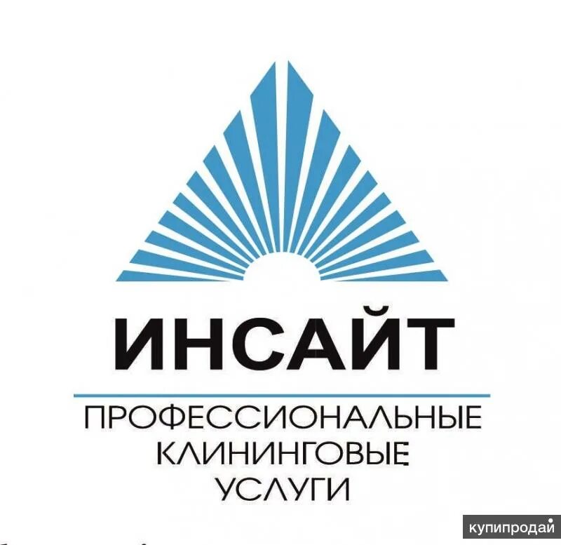 Клининговая липецк. ООО Инсайт. Инсайт Липецк. Инсайт Воронеж клининг. Инсайт Воронеж логотип компании.