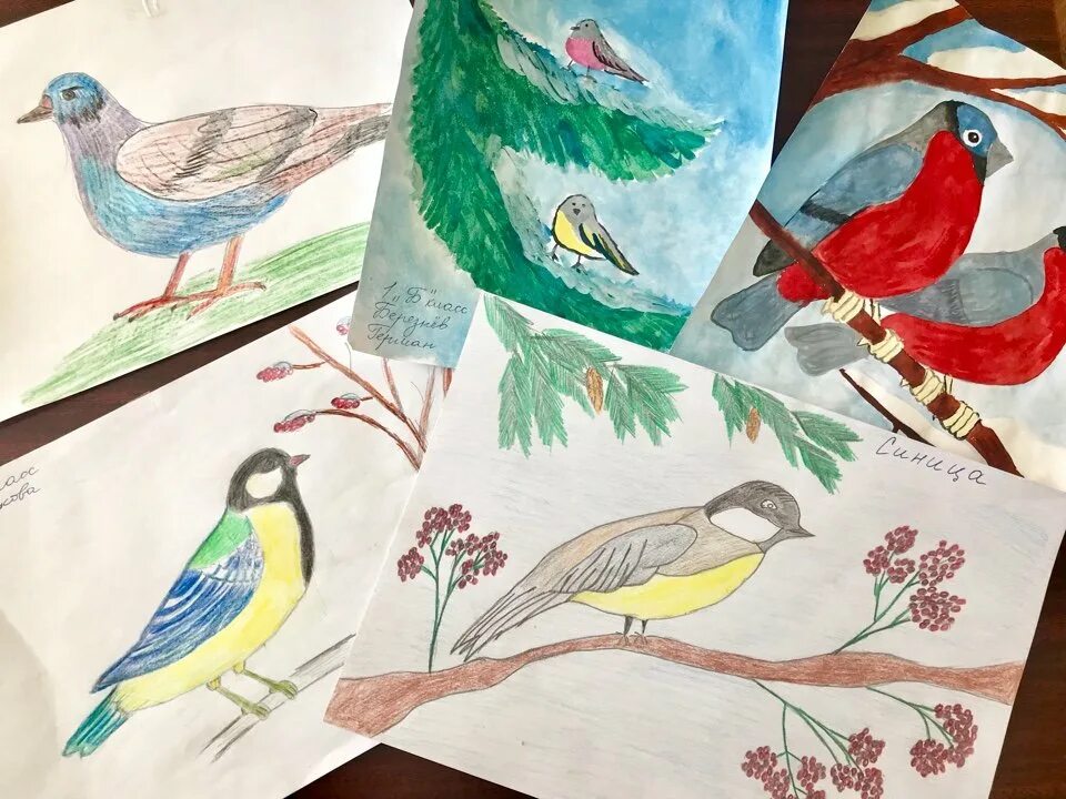 Детские рисунки птиц. Птица детский рисунок. Выставка рисунков птицы. Рисунок ко Дню птиц. День птиц в младшей группе отчет
