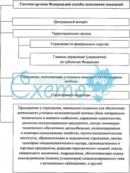 Система органов исполняющих наказание. Структура органов ФСИН. Система органов Федеральной службы исполнения наказаний. Схема системы учреждений органов исполнения наказания. Система органов и учреждений ФСИН России.