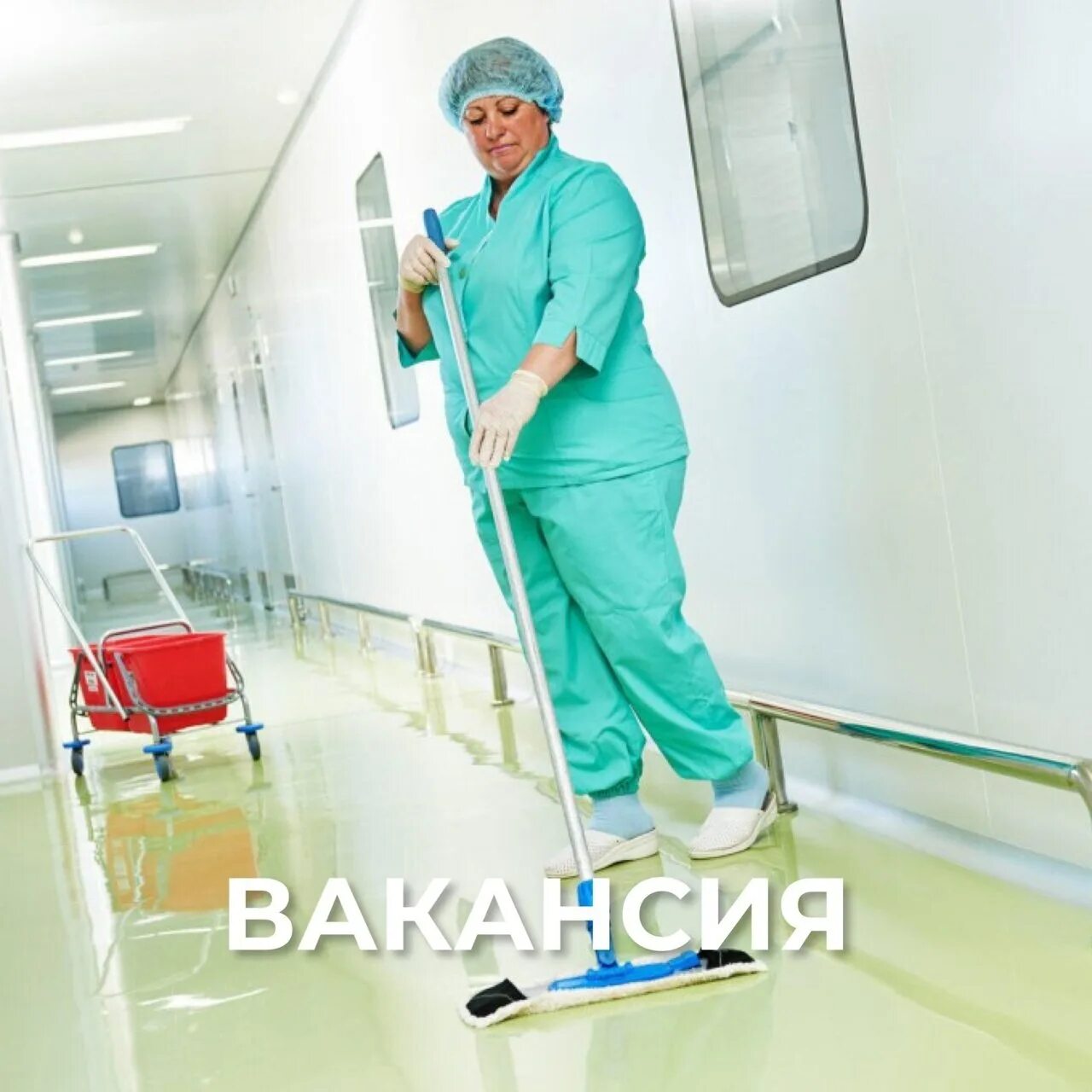 Санитарка. Скандинавия санитарка. Санитарка. Требуется санитарка. Вакансия санитарка.