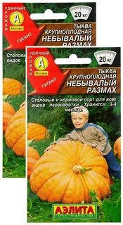 Тыква скрипкина