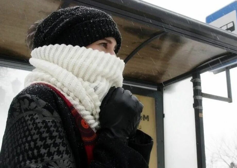 Ждать следующего автобуса