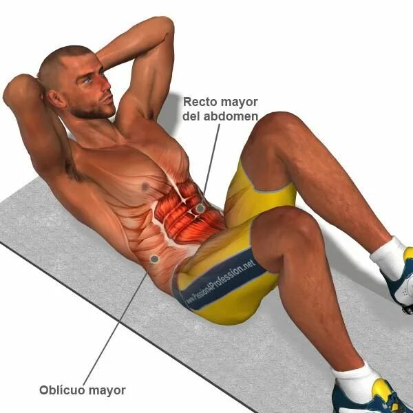 Прямые мышцы живота у мужчин. Мышцы пресса. Упражнения на прямые мышцы живота. Упражнения на брюшной пресс. Прямая мышца живота упражнения для мужчин.