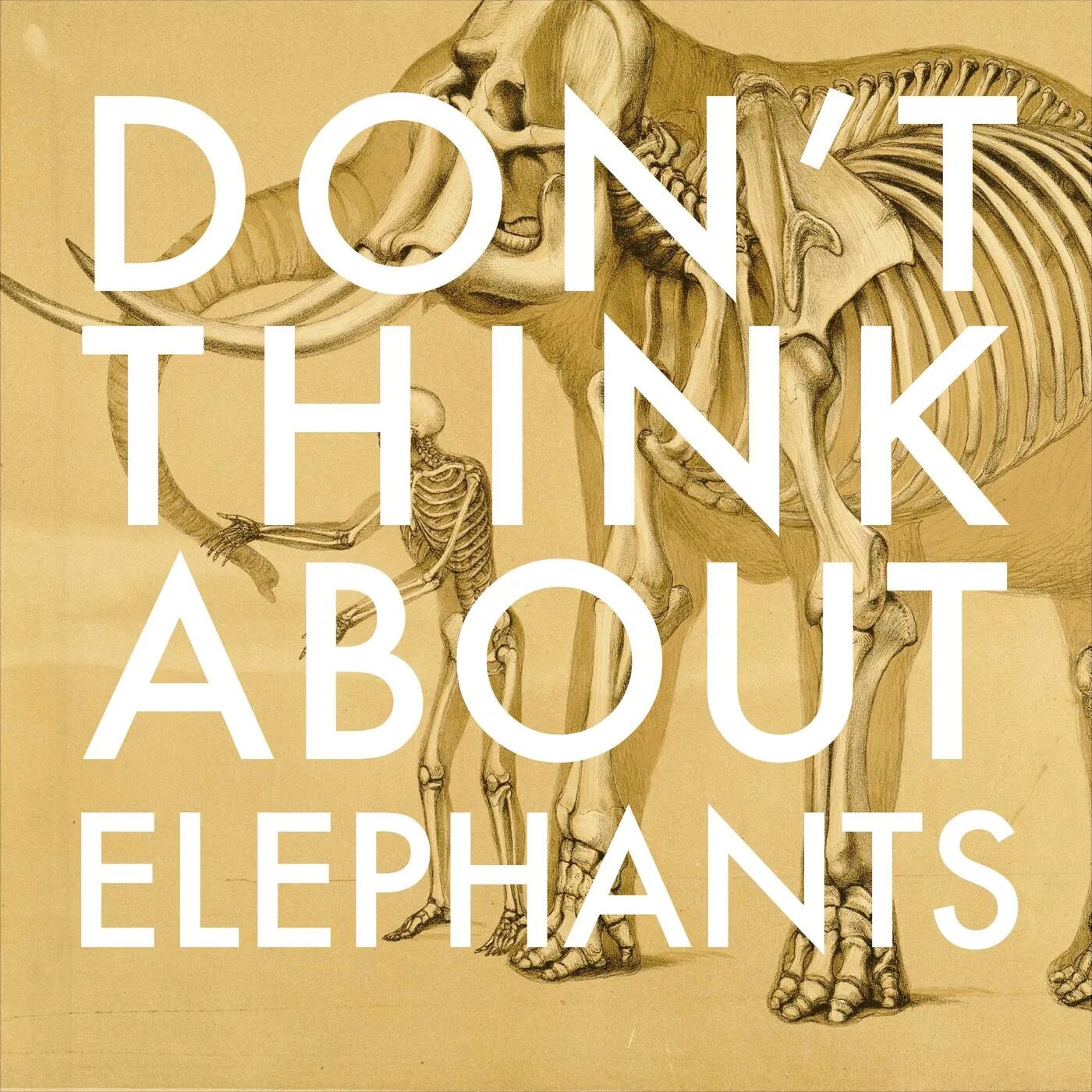 We don t think about. Don&#039;t think. песня about. обложки альбомов elephants of scotland - 2013 - home away from home. donte thick.