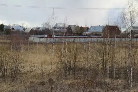 Д п светлый