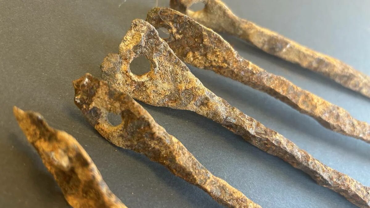 Unique finds