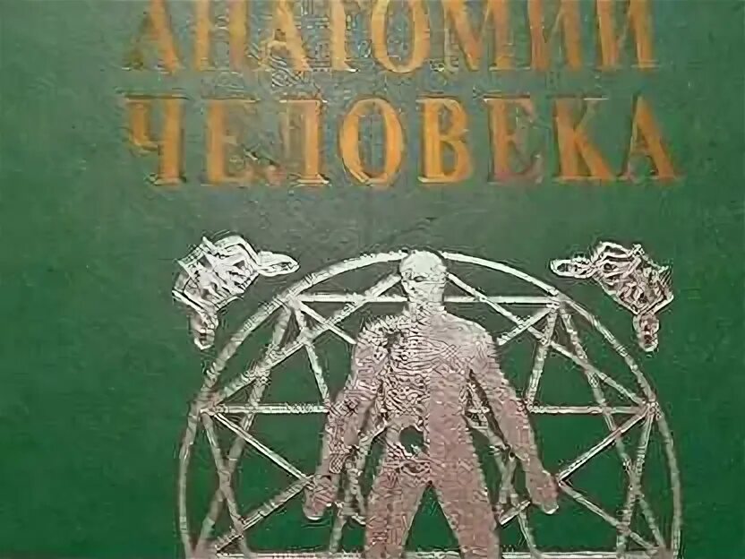 Атлас анатомии воробьева. Атлас анатомии воробьева