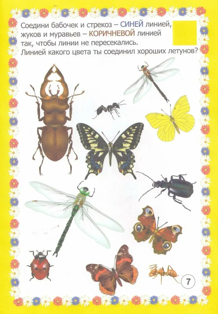 Занятие по развитию речи тема насекомые. Насекомые дом задание логопеда для дошкольников 5-6. Насекомые логопедические задания. Задания для детей на тему насекомые. Занятие с малышами насекомые.