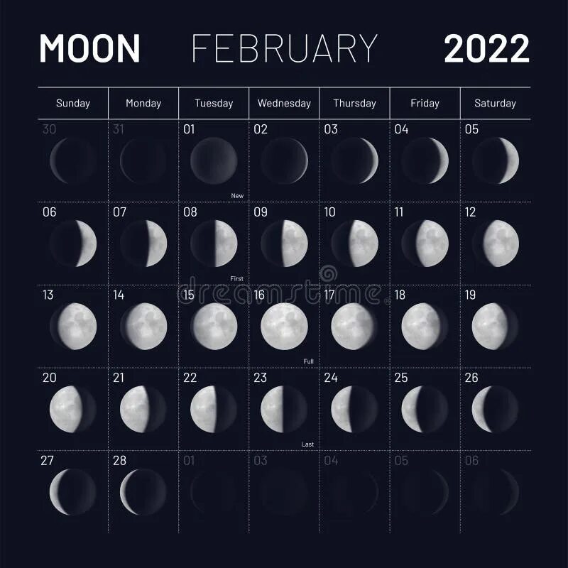 Moon Lunar Calendar 2022. Цикл лунных фаз. Фазы Луны в июне 2022. Лунные циклы 2023. Какие сегодня лунные сутки 2024 года