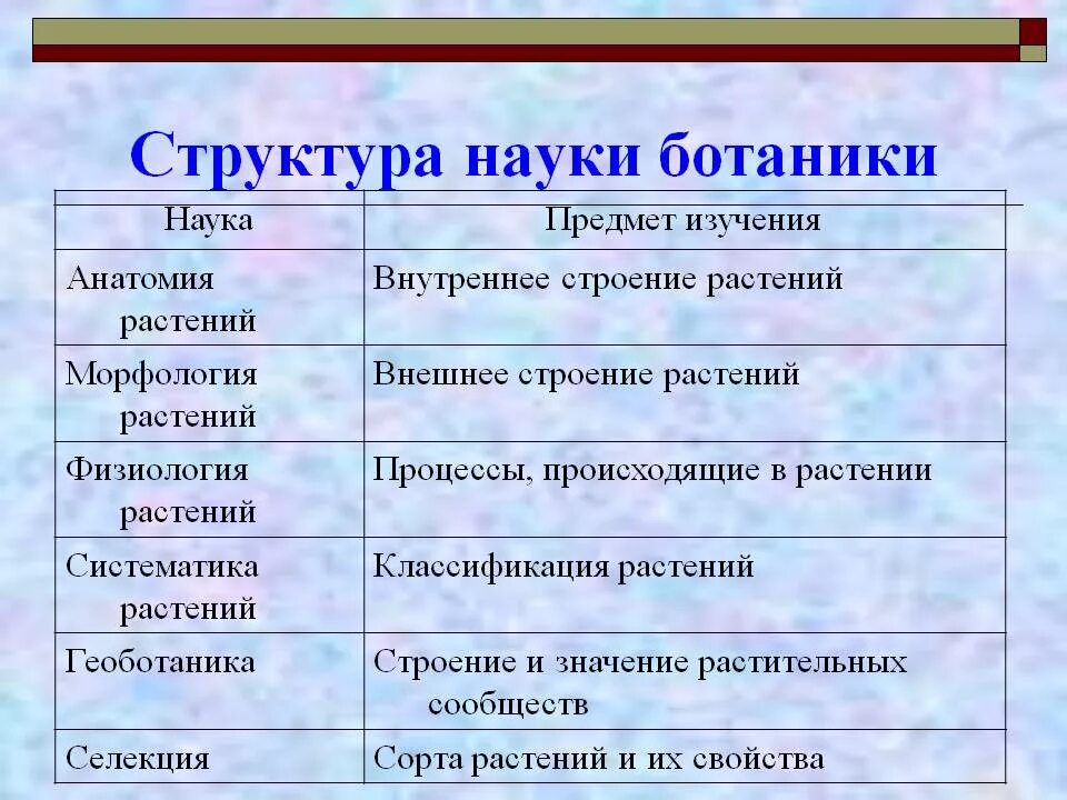 Какая область ботанической науки изучает деление клетки