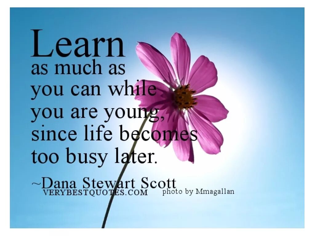 You can learn. Learn english цитата. quotations about learning. learning english quotes. learning english цитаты.