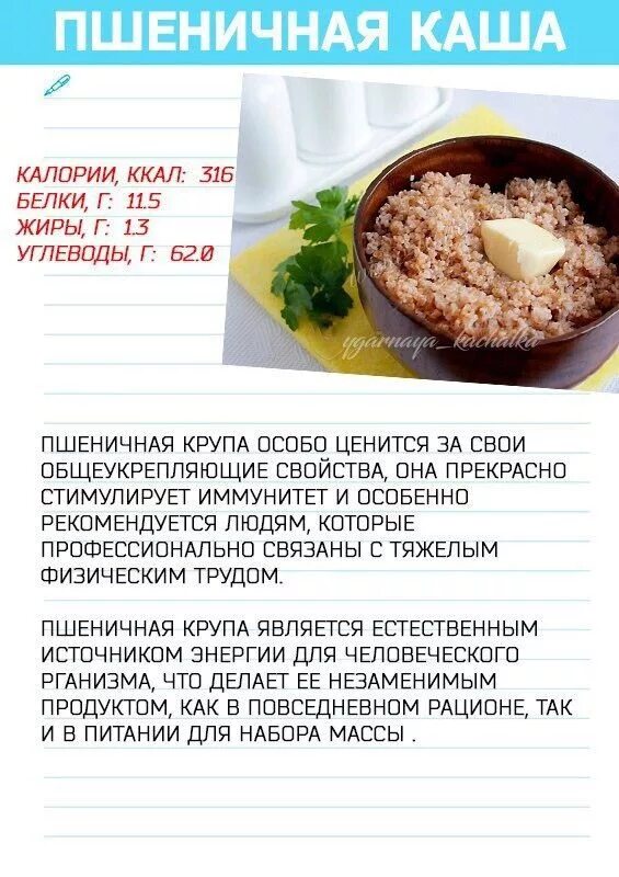 Сколько калорий нужно есть чтобы набрать. Каши для набора мышечной массы. Каши для набора веса. Каши для набирания массы. Лучшие крупы для набора мышечной массы.