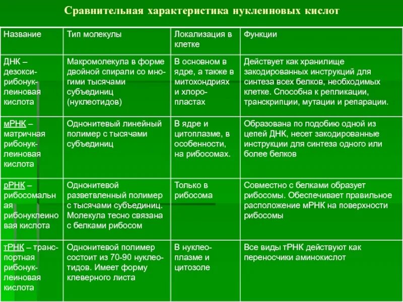 Нуклеиновые кислоты их свойства и функции. Сравнительная характеристика нуклеиновых кислот. сравнительная таблица нуклеиновых кислот. нуклеиновые кислоты таблица. сравнительная характеристика нуклеиновых кислот днк и рнк.