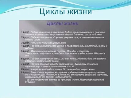 6 цикл жизни