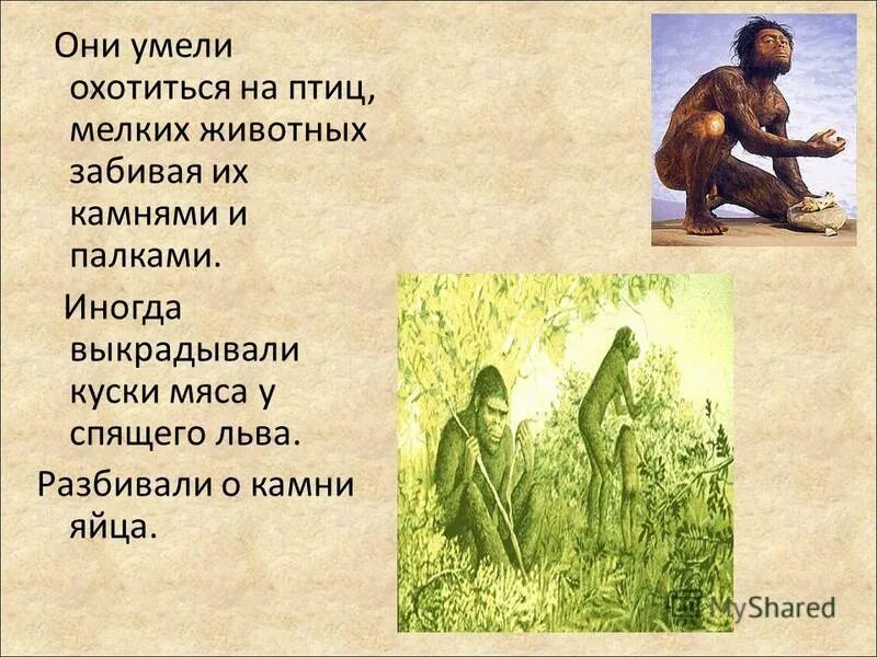 Орел с рыбой в когтях. Охотник весной. Сокол охотится. Пума животное на охоте. Орел с добычей.