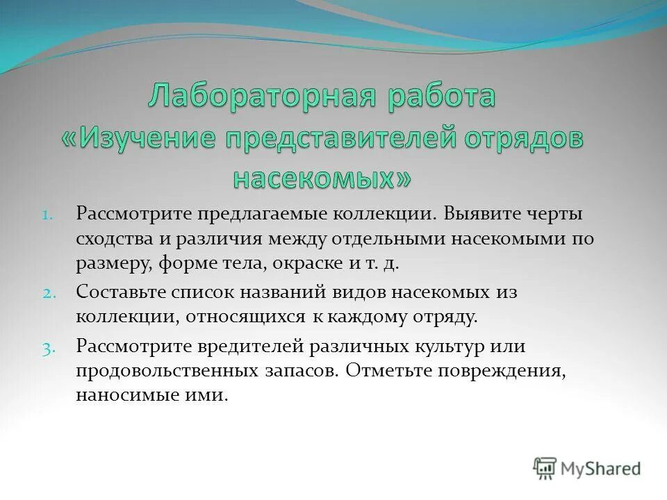 сходства и различия африки и австралии таблица. определите черты сходства и различия австралии и африки. выявите черты сходства и. черты сходства и различия человека и животных зародышей. черты сходства и различия рельефа африки и австралии.