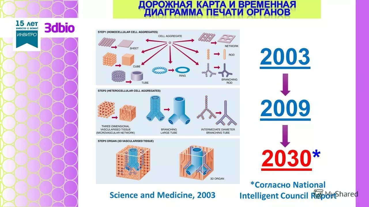 Linus tech мем. Школа 2030 учителя. Концепция до 2030 года. Linus tech tips meme face. Стратегия 2030.
