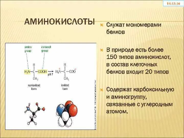 Соединения являющиеся мономерами белка. Природные аминокислоты. Типы аминокислот. Аминокислоты нахождение в природе. Аминокислоты мономеры белков.