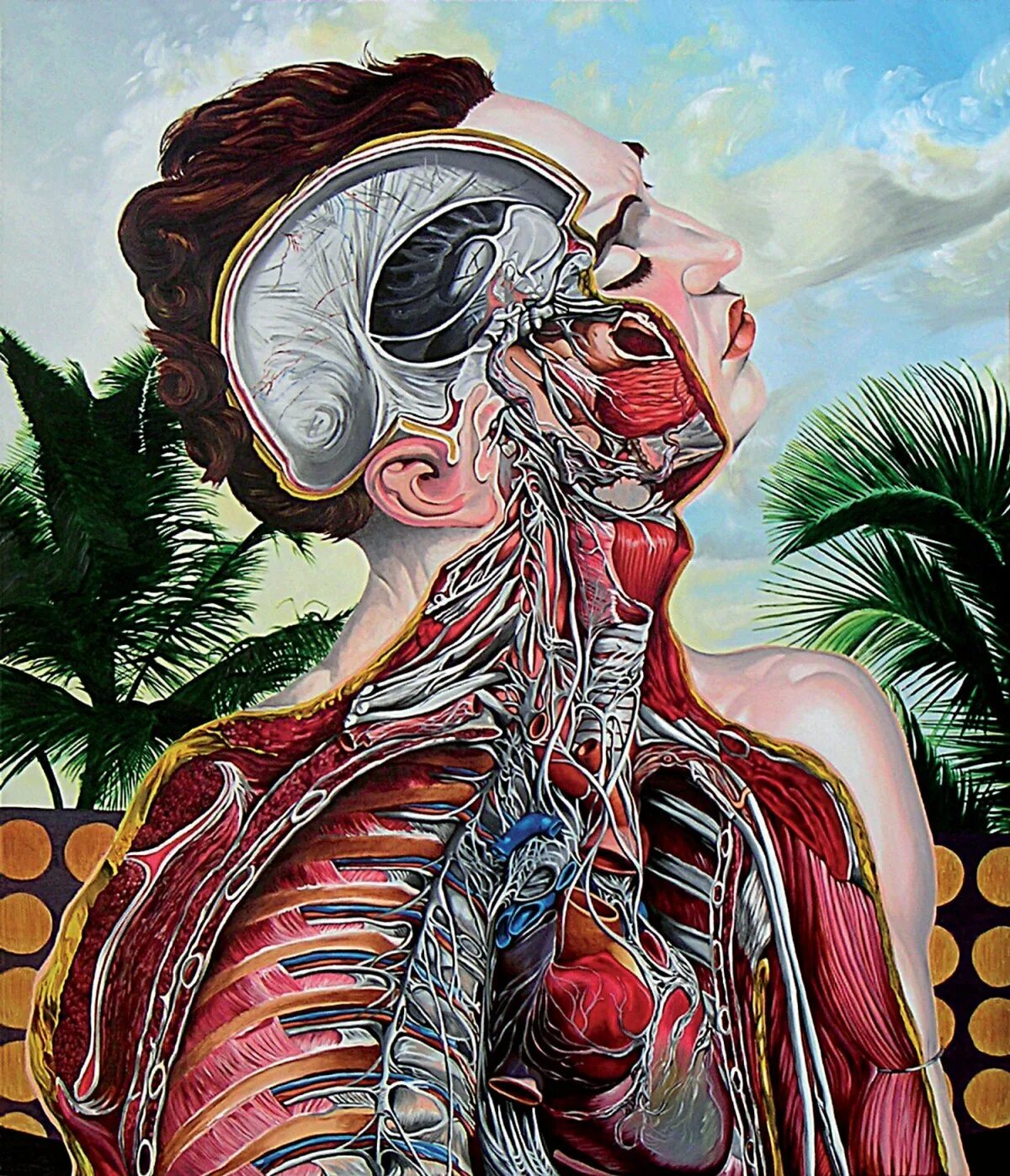 Страх органов человека. Анатомия человека искусство.
