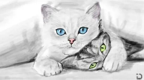 Алиса котик рисовать