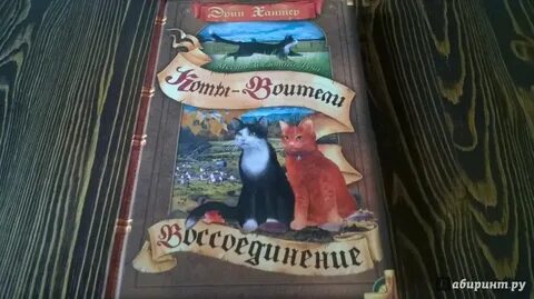 Коты воители месть