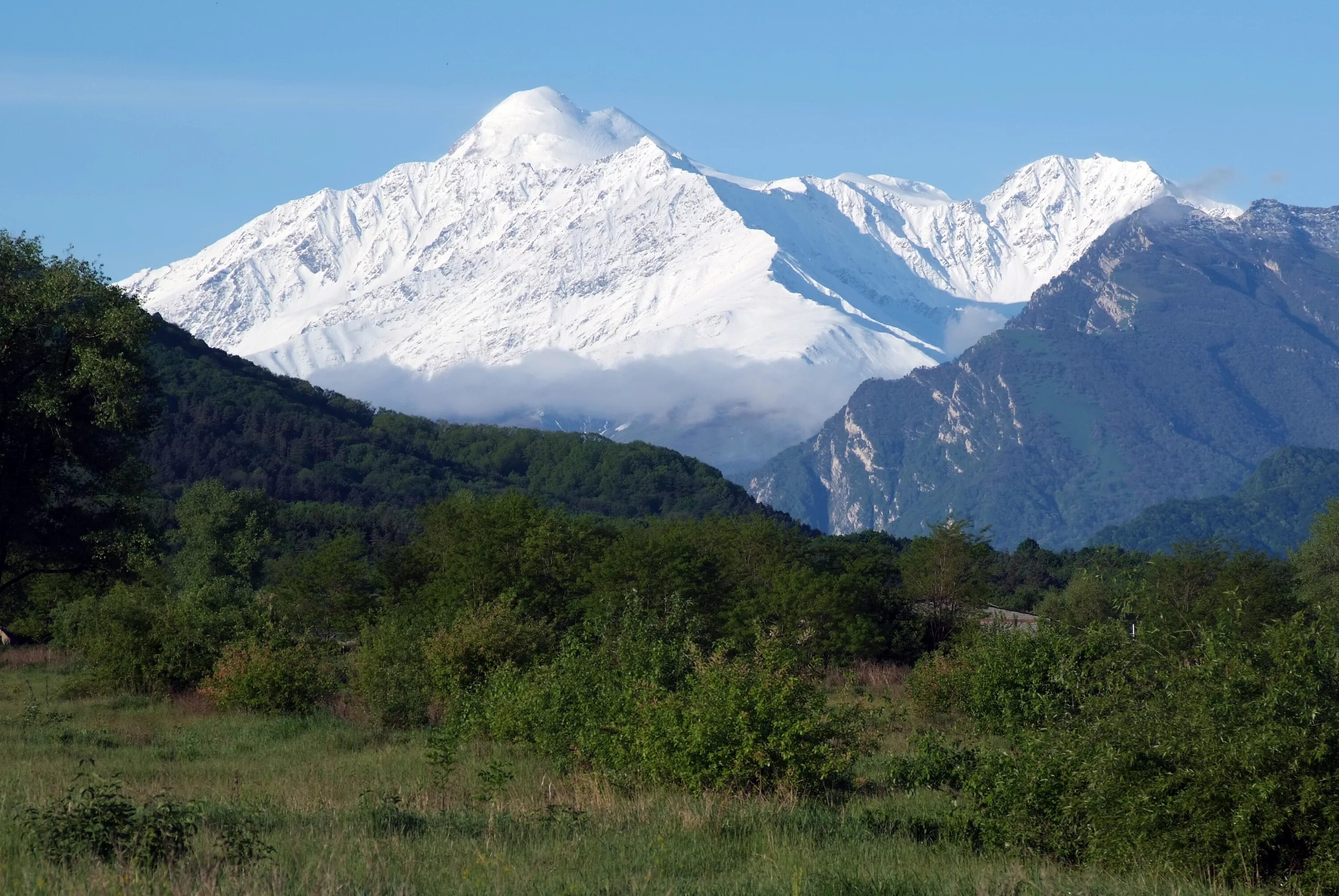 Кавказ самая высокая