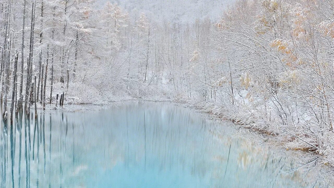 в течение зимы. оуланка национальный парк финляндия название реки. горный парк рускеала карелия. голубой пруд хоккайдо. народные приметы зимы на урожай.