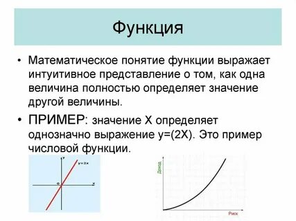 Функция понятие и определение