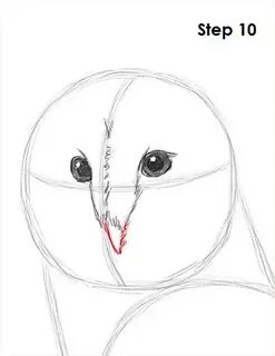 Рисуем сову видео