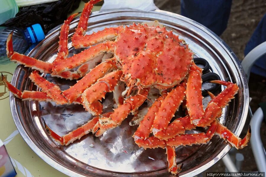 Южно сахалинск крабы. Камчатский краб сахалин. Аляскинский камчатский краб. Крабовый рынок взморье сахалин. Южно сахалинск крабы.