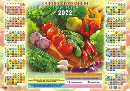 Дачный лунный календарь на июнь 2024 г