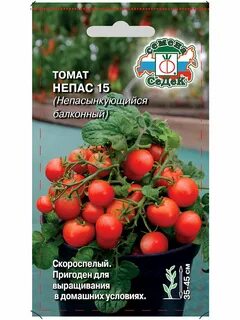 Семена помидор непас
