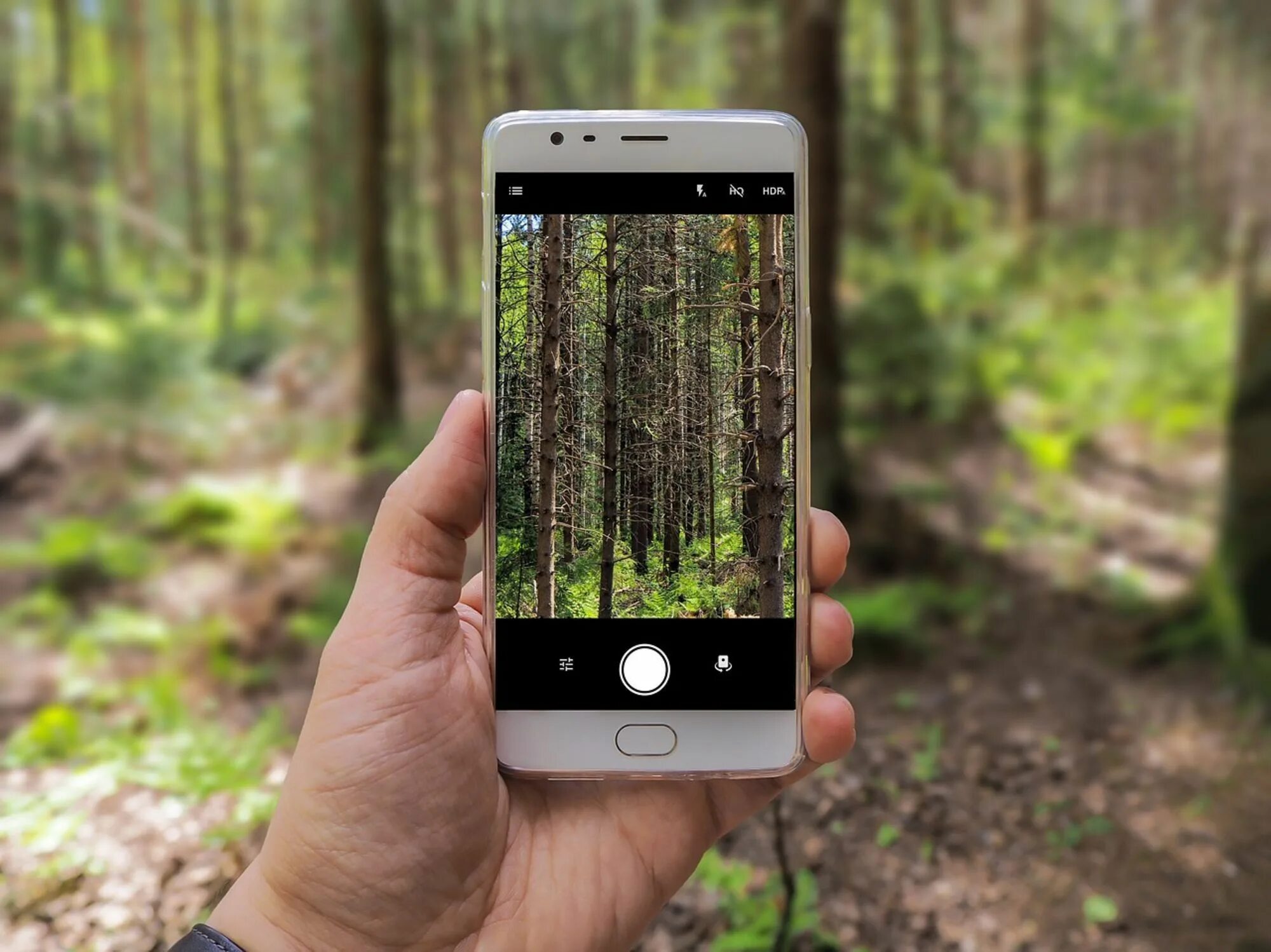 Измерить камерой телефона. Камера телефона. Смартфон в лесу. Фотографирует на телефон. Фотокамеры телефона.