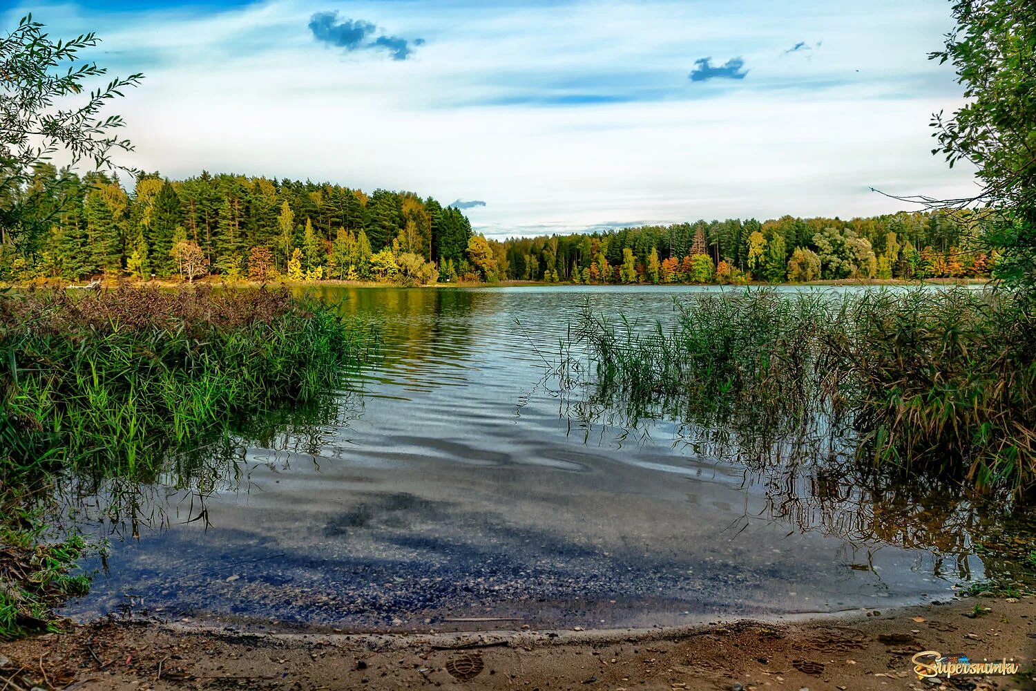 Истра озеро. Истринское водохранилище Рождествено. Истра водохранилище. Истринское водохранилище осенью.