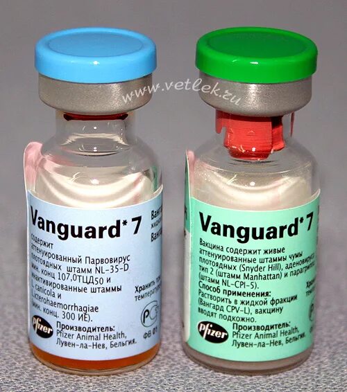 Вакцины реферат. Вакцина Вангард 5. Вангард прививка для щенков. Вангард вакцина производитель. Вангард схема вакцинации.