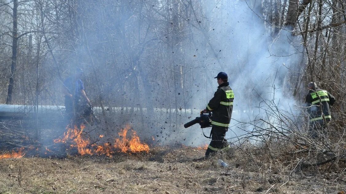 Травяной пожар 2010. Сильные лесные пожары в архангельске. Сильные лесные пожары в архангельске. Лесополоса горит. Горящая сухая трава.