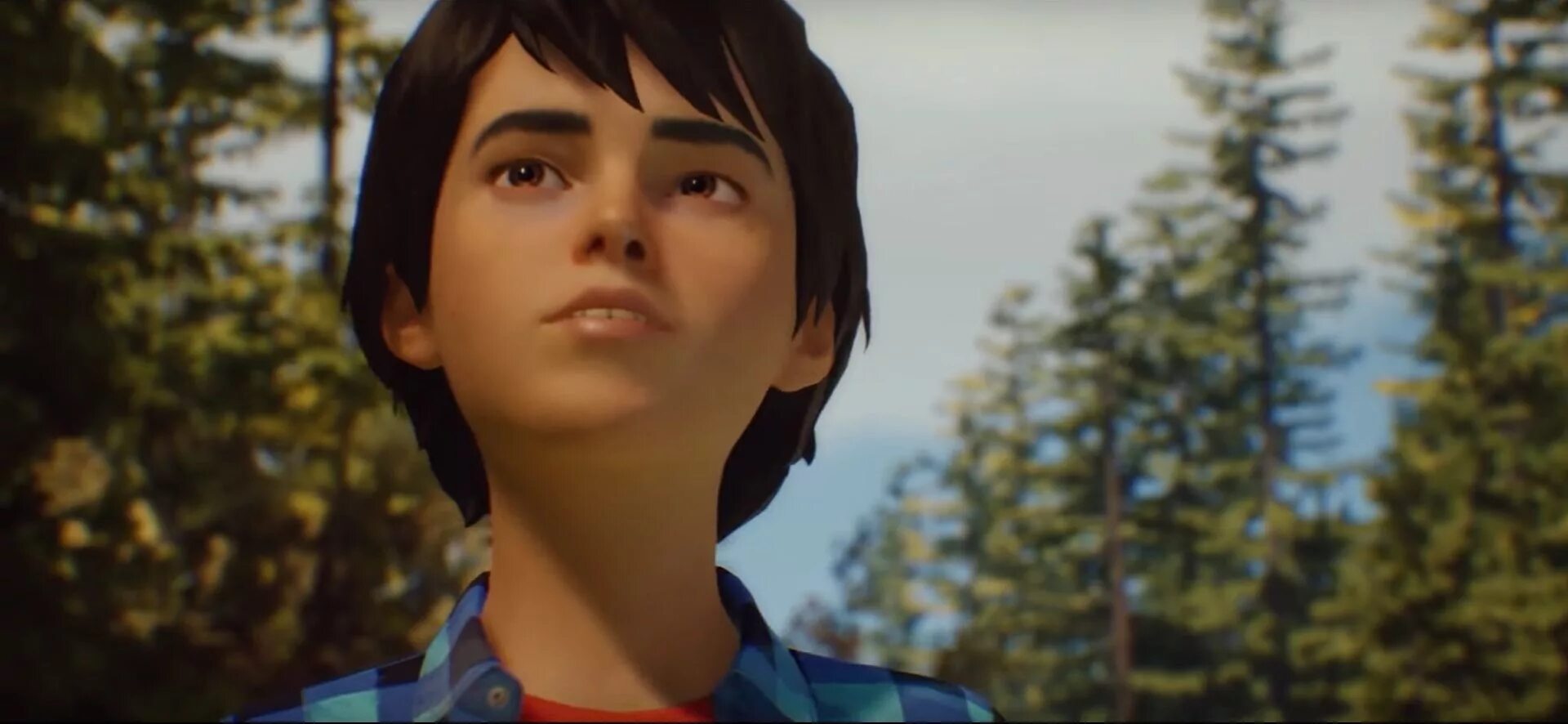 Life is looking up. Покорение вершины. Yunus emre quotes. Shout out. Life is looking up.