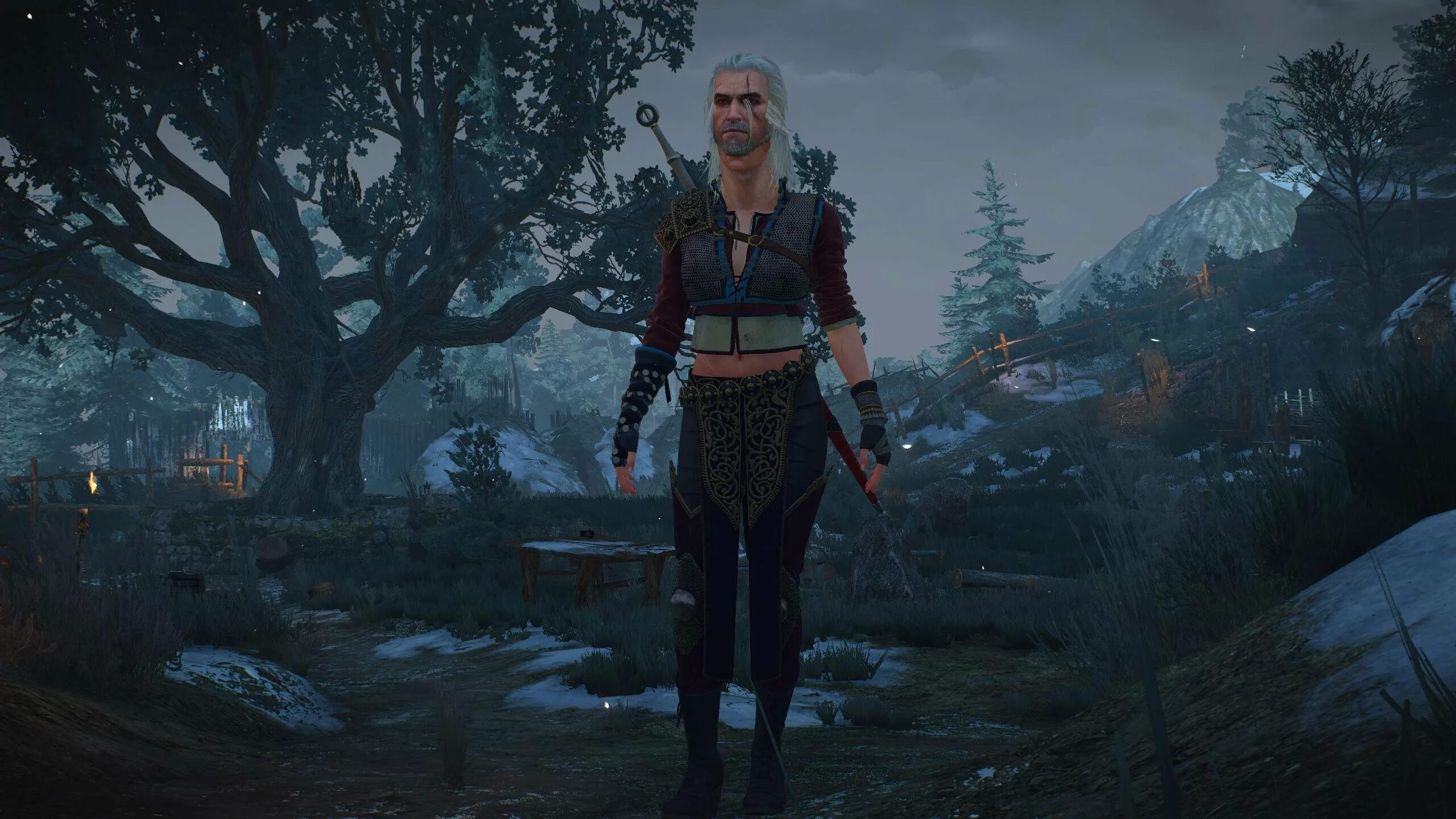 The witcher на андроид