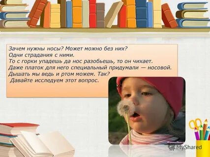 Зачем нужен нос