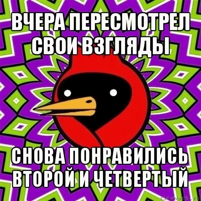 Омская птица. Коллеги отказались кататься со мной на стульях по коридору. Коллеги отказались кататься со мной на стульях. Парусить Мем.