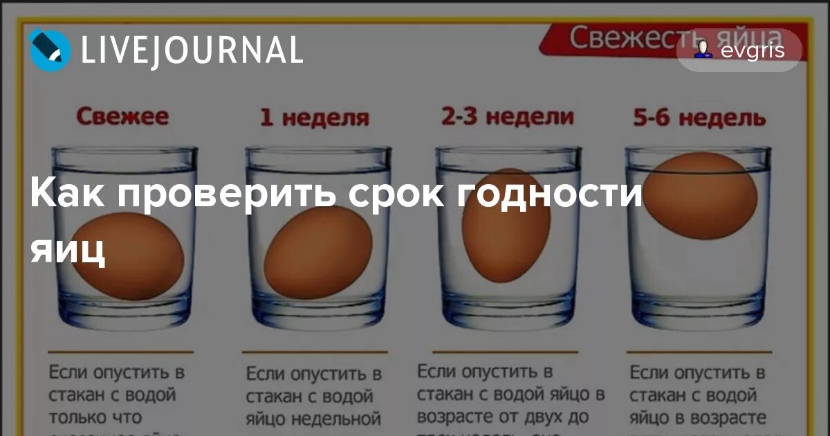 Как проверить свежесть сыра. Срок хранения яиц. Срок годности яиц. Срок годности яиц в холодильнике. Срок годности яиц куриных.