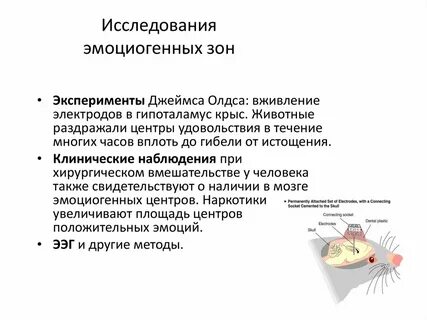 Зона эксперимента