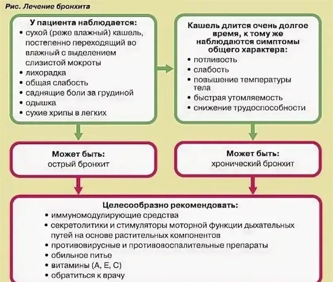 Бронхит у взрослых сколько времени. Схема лечения бронхита. Лечение бронхита у детей схема лечения. Схема лечения при бронхите у детей. Бронхит схема лечения препараты.