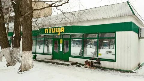 Магазин птица саранск