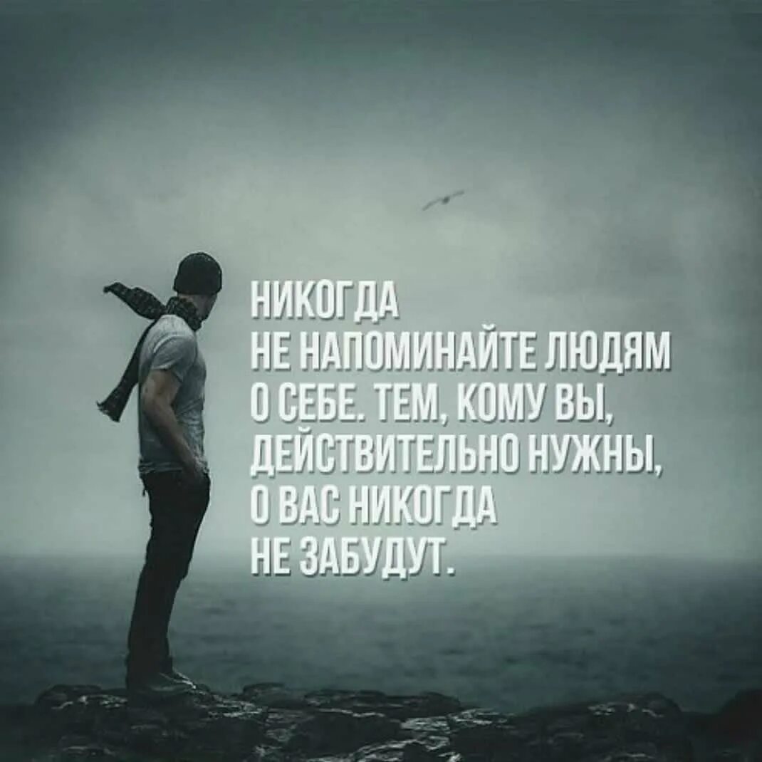 Доку про жизнь. Доку про жизнь